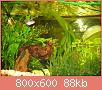         

:  11.jpg
:  403
:  88,2 KB