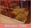         

:  DSC02152.jpg
:  864
:  53,3 KB