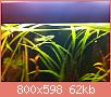         

:  IMG_0157.jpg
:  304
:  62,4 KB