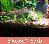         

:  DSC03996.jpg
:  275
:  67,5 KB