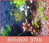         

:  DSC03997.jpg
:  279
:  96,9 KB