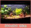         

:  DSC04000.jpg
:  363
:  68,1 KB
