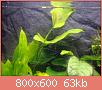         

:  DSC04001.jpg
:  362
:  62,5 KB