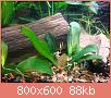         

:  DSC04002.jpg
:  417
:  87,6 KB