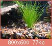         

:  DSC04003.jpg
:  366
:  76,5 KB