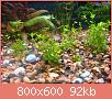         

:  DSC04004.jpg
:  339
:  92,2 KB