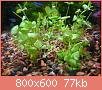         

:  DSC04005.jpg
:  337
:  77,3 KB