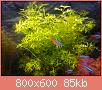         

:  DSC04006.jpg
:  341
:  84,8 KB