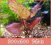         

:  DSC04007.jpg
:  342
:  96,2 KB