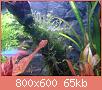         

:  DSC04008.jpg
:  336
:  65,3 KB