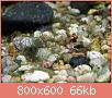         

:  P5250173.jpg
:  281
:  65,8 KB
