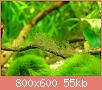         

:  P5250176.jpg
:  282
:  55,0 KB