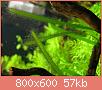         

:  P5250177.jpg
:  270
:  57,2 KB