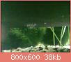         

:  10062011532.jpg
:  258
:  37,6 KB