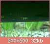         

:  10062011535.jpg
:  252
:  31,7 KB