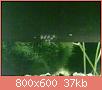         

:  10062011538.jpg
:  241
:  37,2 KB