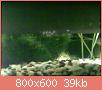         

:  100620115353.jpg
:  234
:  38,8 KB