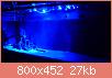         

:  P1010428s.jpg
:  665
:  26,6 KB
