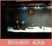         

:  P1010438s.jpg
:  731
:  42,0 KB