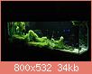         

:  DSC_8587s.jpg
:  697
:  33,7 KB