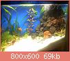         

:  DSC00012.jpg
:  353
:  69,4 KB