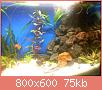         

:  DSC00013.jpg
:  417
:  75,5 KB