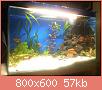         

:  DSC00014.jpg
:  341
:  57,1 KB