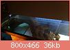         

:  IMG_0046s.jpg
:  664
:  35,8 KB
