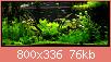         

:  P7110183.jpg
:  739
:  76,2 KB