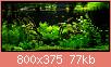         

:  P7110187.jpg
:  547
:  77,4 KB
