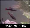         

:  Untitled-1 copy.jpg
:  312
:  31,9 KB