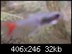         

:  Untitled-2 copy.jpg
:  302
:  31,9 KB