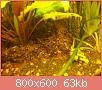         

:  100_0798.jpg
:  328
:  63,1 KB