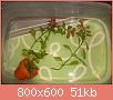         

:  100_0800.jpg
:  275
:  51,3 KB