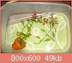         

:  100_0801.jpg
:  242
:  48,5 KB