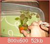         

:  100_0806.jpg
:  239
:  51,7 KB