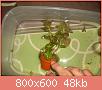         

:  100_0807.jpg
:  235
:  48,5 KB