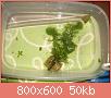         

:  100_0808.jpg
:  332
:  49,7 KB