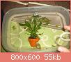         

:  100_0809.jpg
:  260
:  55,2 KB