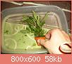         

:  100_0810.jpg
:  291
:  58,1 KB