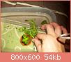         

:  100_0811.jpg
:  249
:  53,9 KB