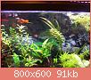         

:  100_0694.jpg
:  462
:  91,4 KB