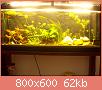         

:  100_0737.jpg
:  336
:  62,2 KB