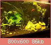         

:  100_0743.jpg
:  347
:  85,8 KB