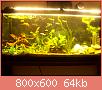         

:  100_0758.jpg
:  382
:  64,0 KB