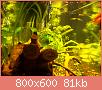         

:  100_0777.jpg
:  349
:  81,1 KB