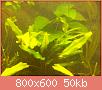         

:  100_0710.jpg
:  206
:  50,2 KB