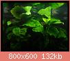         

:  g1.JPG
:  595
:  132,4 KB
