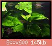         

:  g2.JPG
:  645
:  145,3 KB