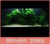         

:  g3.JPG
:  596
:  99,7 KB